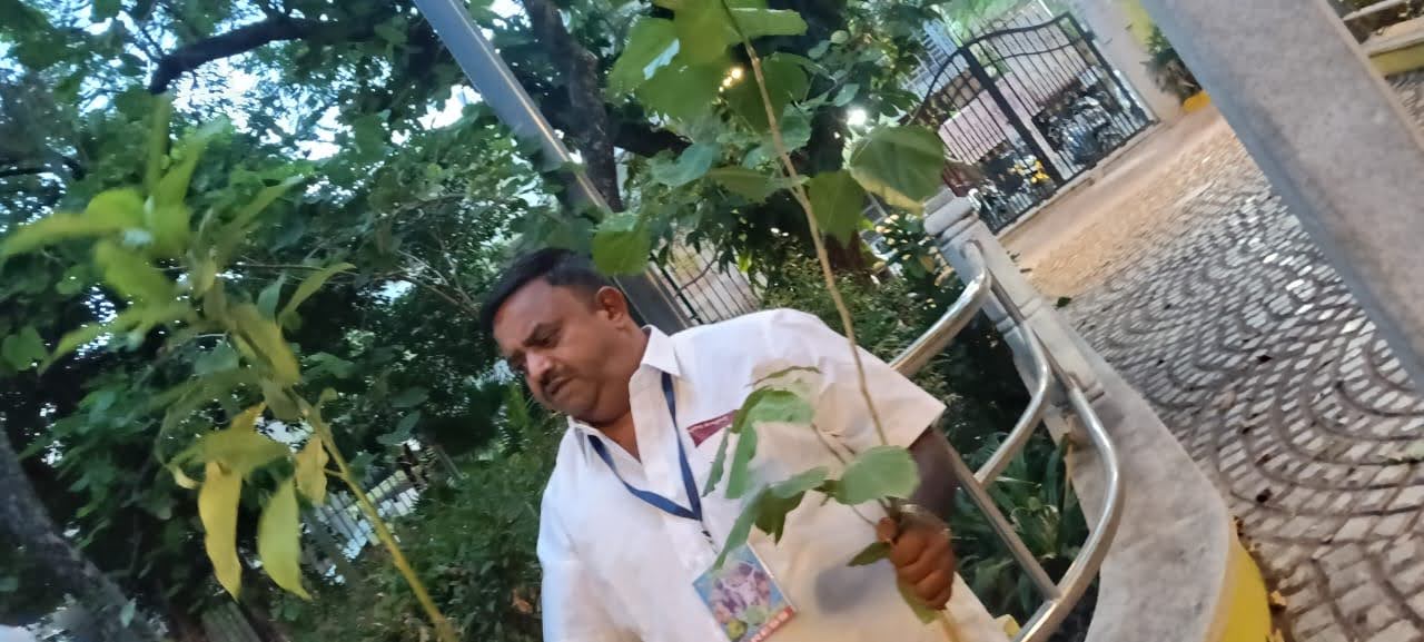 Parisara gallery image